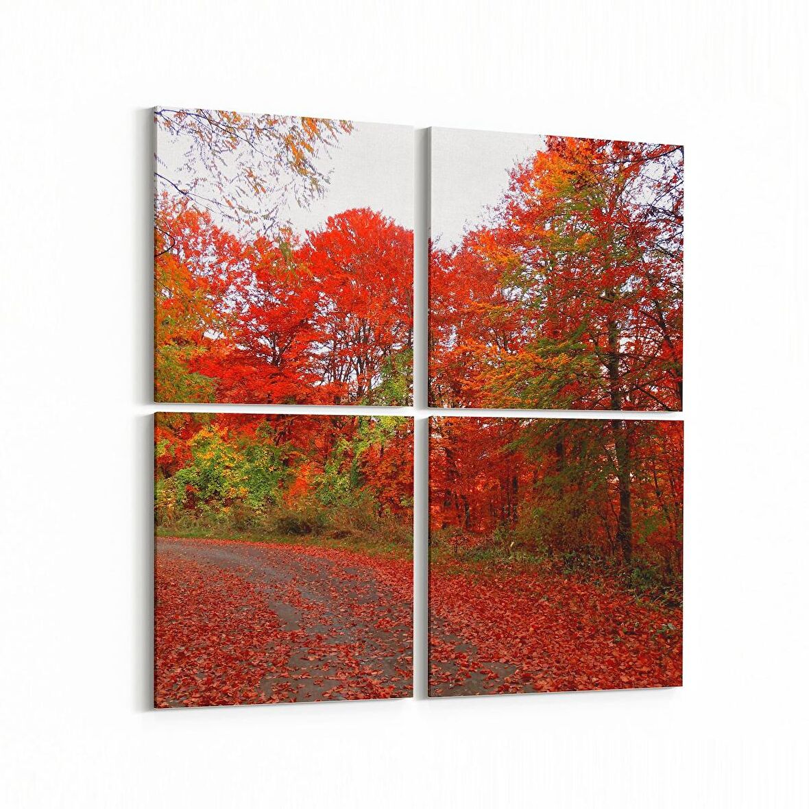 Olla 13211K4 Doğa / Manzara Görseli Kare 4'lü Kanvas Tablo (Ölçü: 145X145)