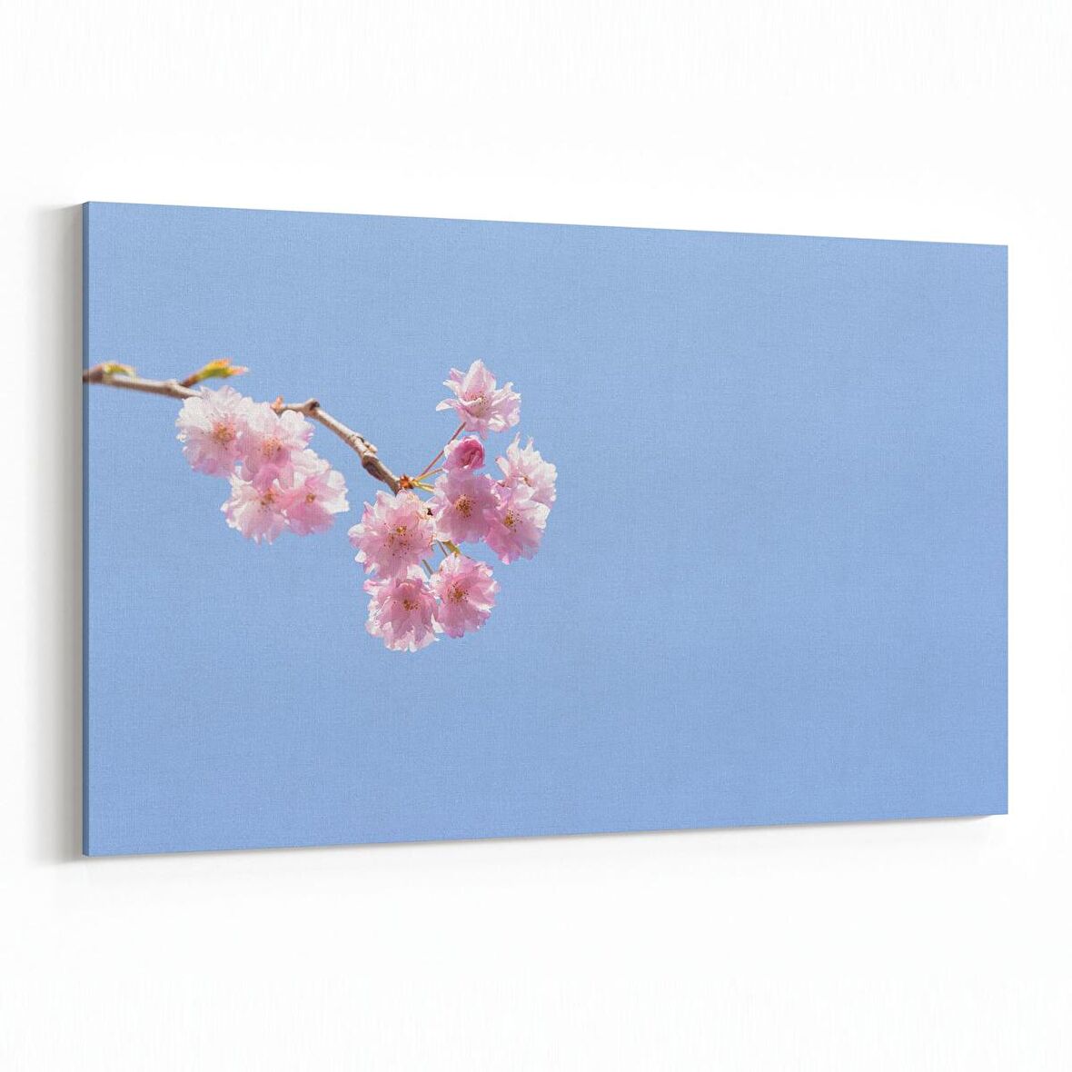 Olla 10867Y Ağaç Görseli Yatay Kanvas Tablo (Ölçü: 150X100)