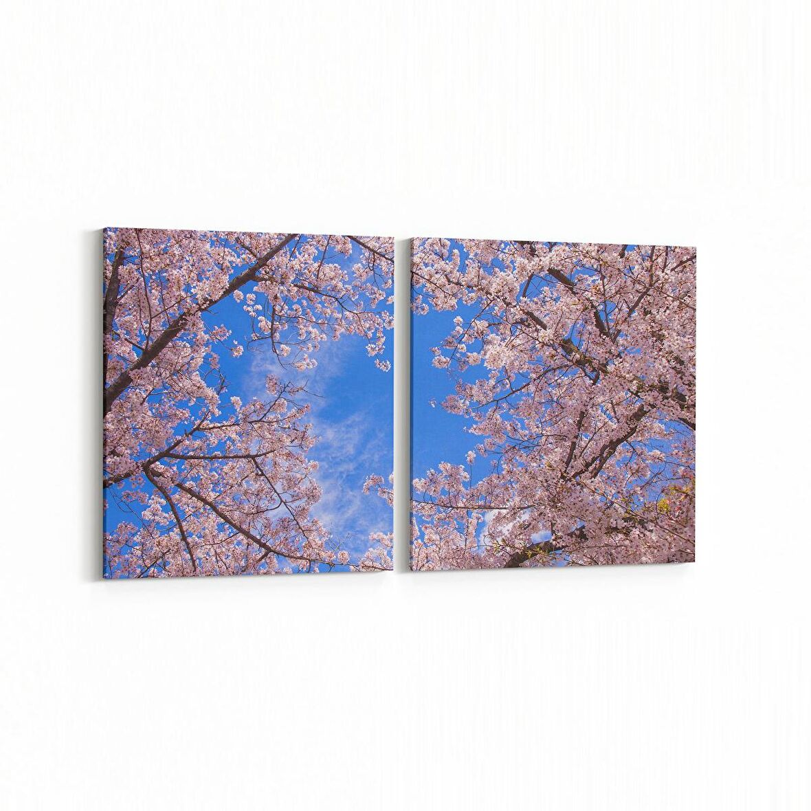 Olla 10697K2Y Ağaç Görseli Kare 2'li Yatay Kanvas Tablo (Ölçü: 85X40)