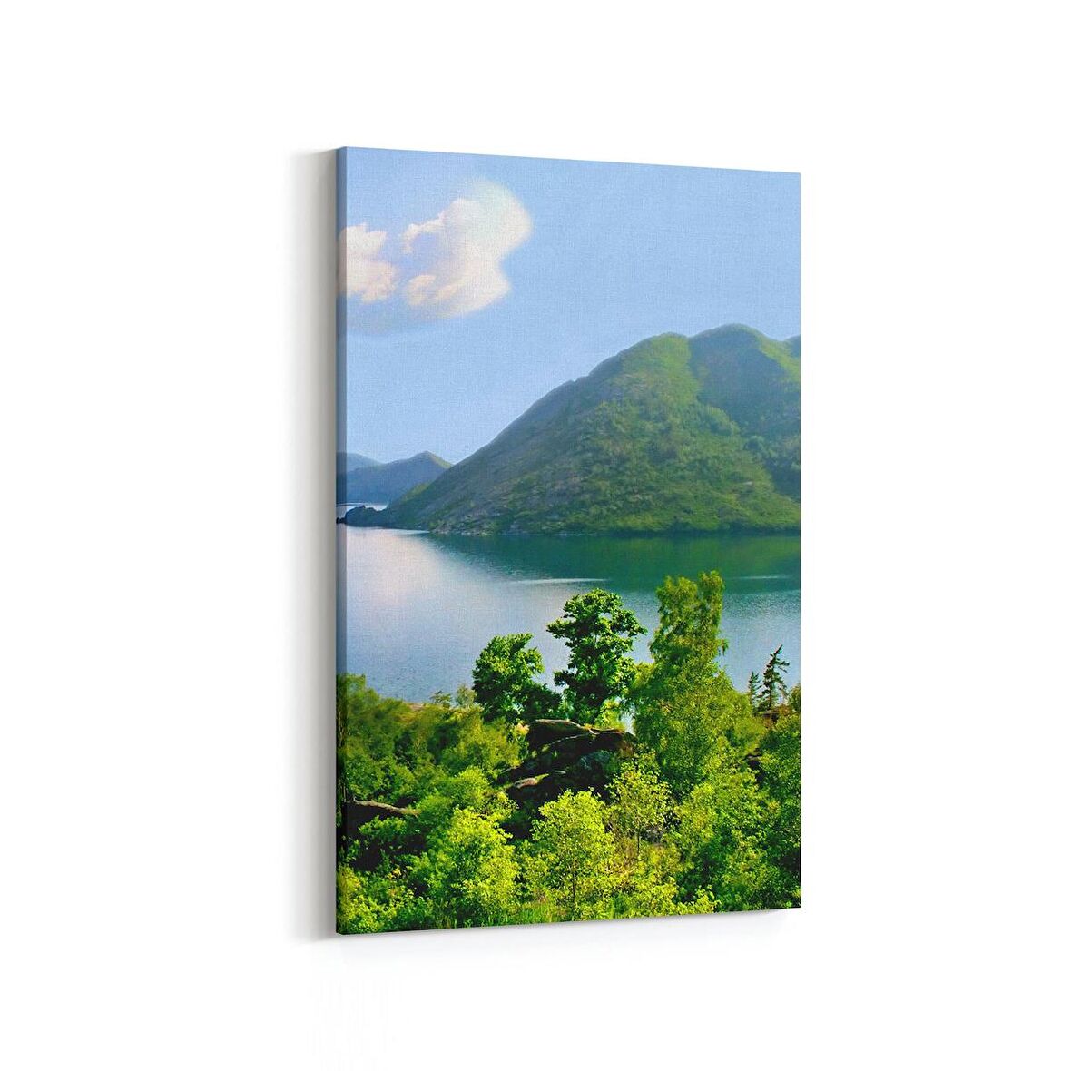 Olla 14058D Doğa / Manzara Görseli Dikey Kanvas Tablo (Ölçü: 100X150)