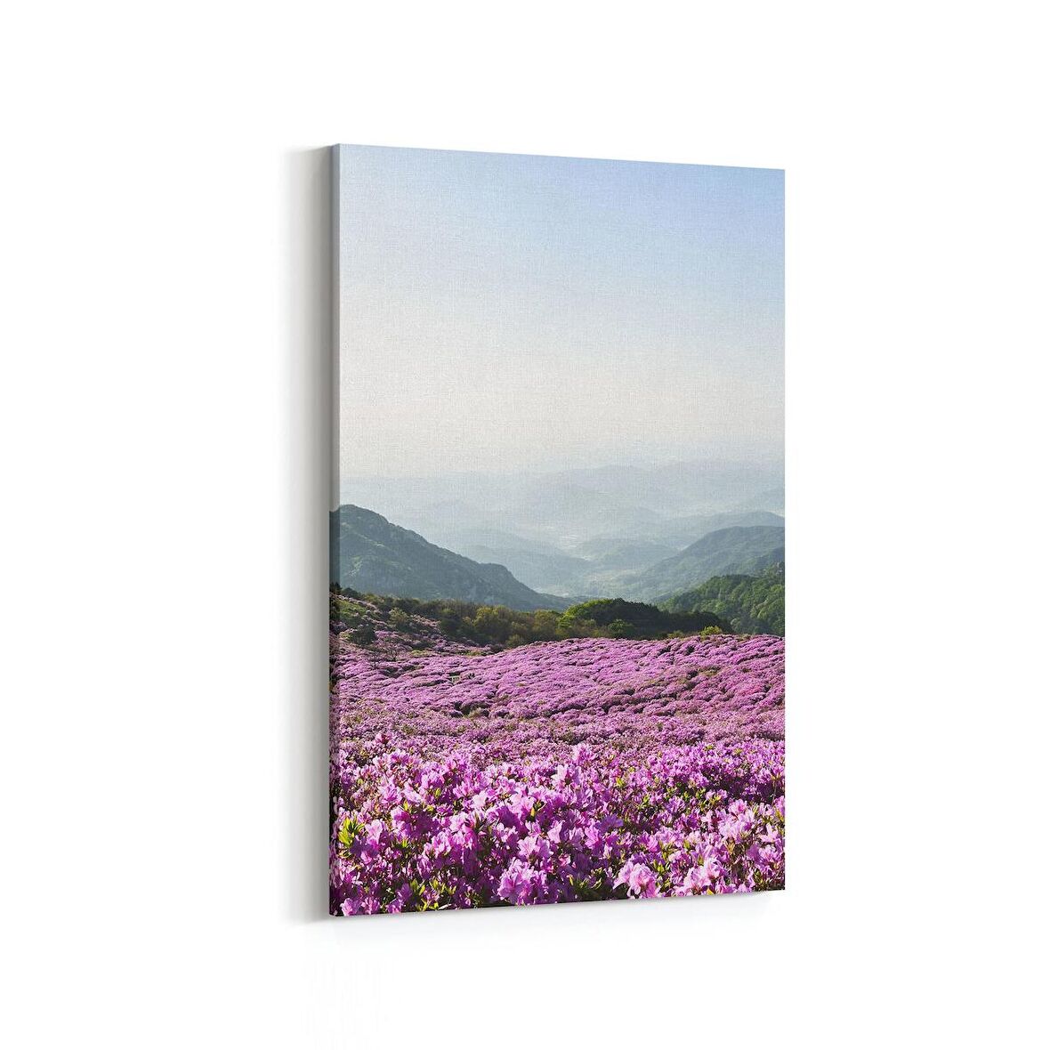 Olla 14397D Doğa / Manzara Görseli Dikey Kanvas Tablo (Ölçü: 60X90)