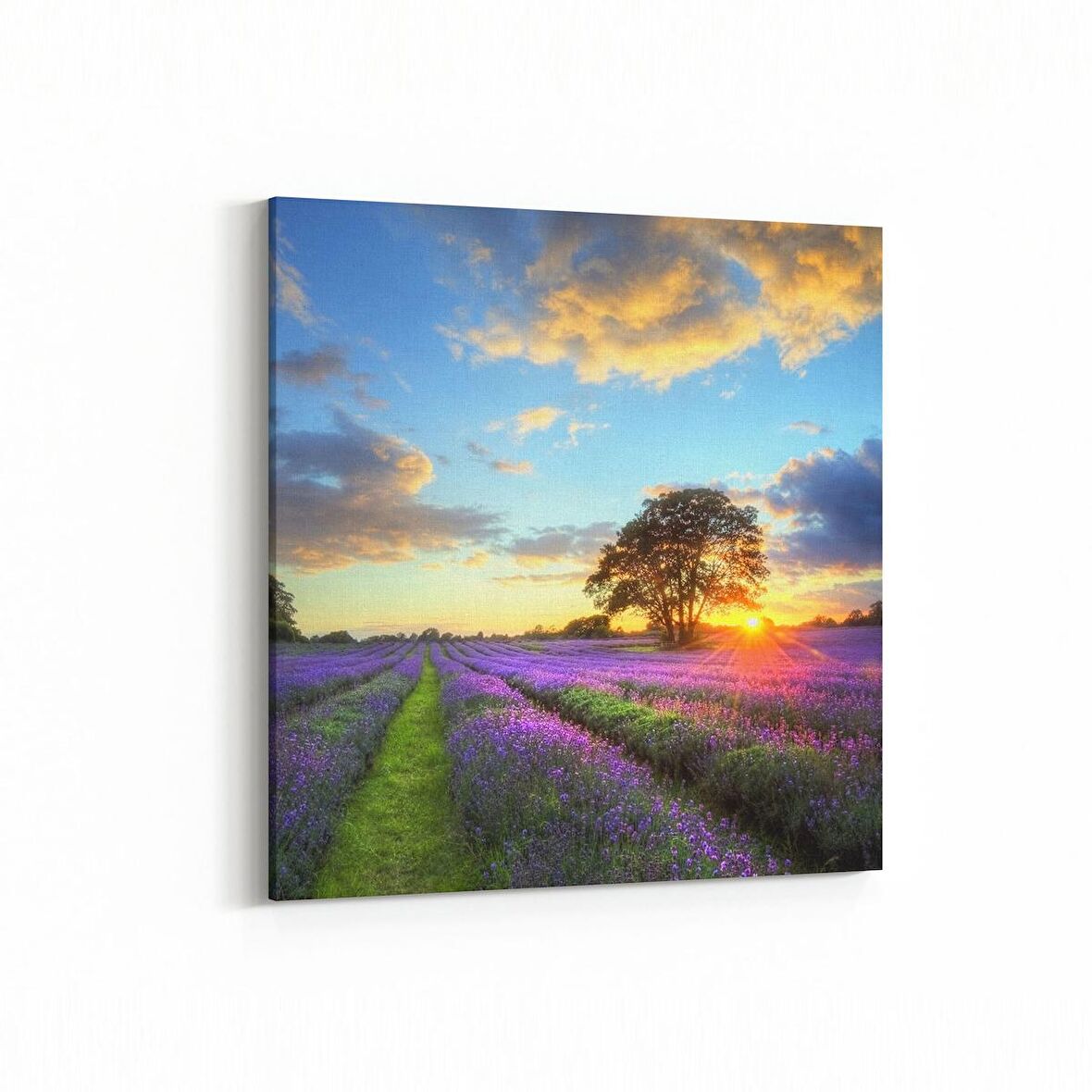 Olla 16114K Günbatımı Görseli Kare Kanvas Tablo (Ölçü: 60X60)