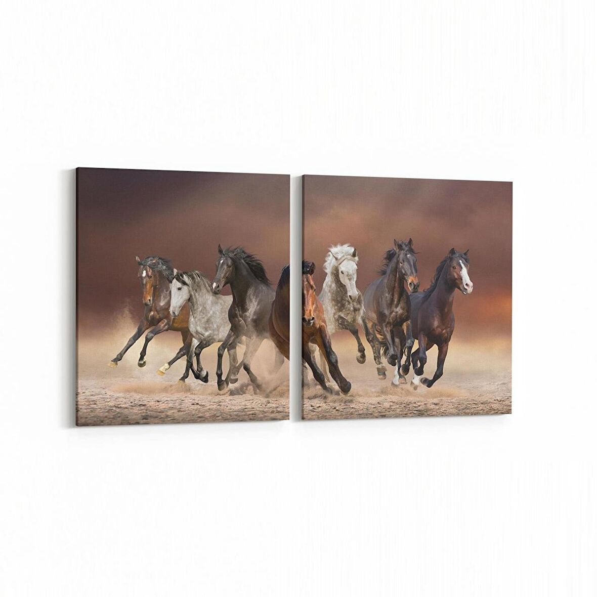 Olla 12662K2Y Hayvanlar Alemi Görseli Kare 2'li Yatay Kanvas Tablo (Ölçü: 85X40)