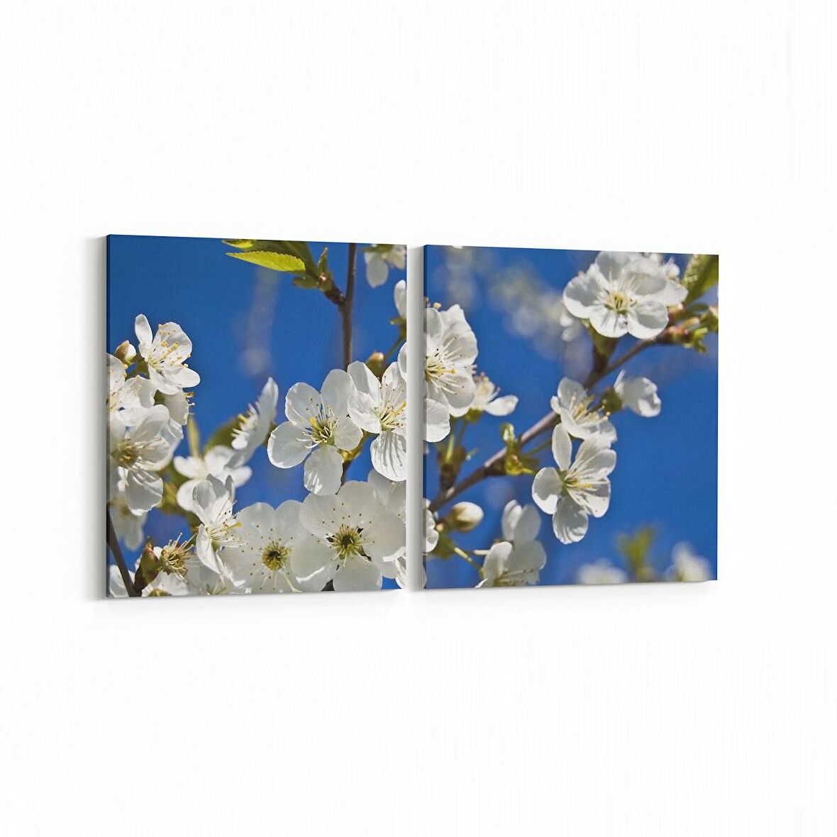 Olla 10477K2Y Ağaç Görseli Kare 2'li Yatay Kanvas Tablo (Ölçü: 65X30)