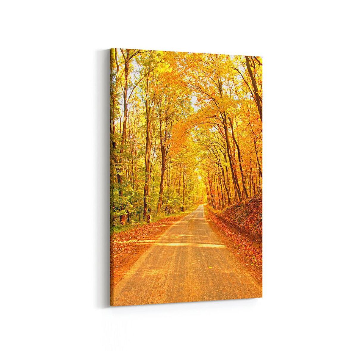 Olla 14553D Doğa / Manzara Görseli Dikey Kanvas Tablo (Ölçü: 20X30)