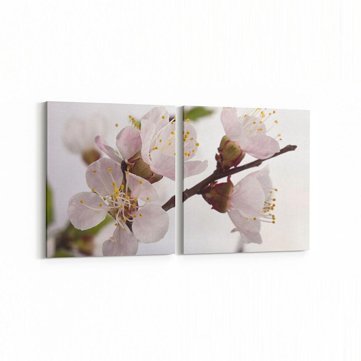 Olla 10854K2Y Ağaç Görseli Kare 2'li Yatay Kanvas Tablo (Ölçü: 125X60)