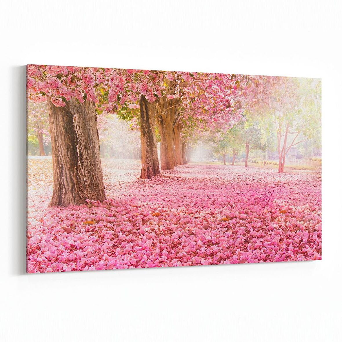 Olla 14347Y Doğa / Manzara Görseli Yatay Kanvas Tablo (Ölçü: 30X20)