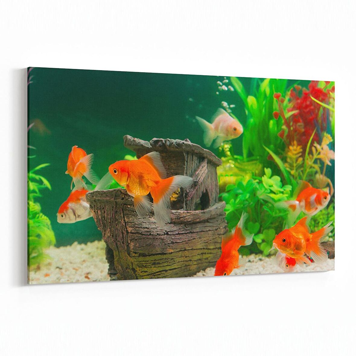 Olla 12780Y Çocuk Odası Görseli Yatay Kanvas Tablo (Ölçü: 45X30)