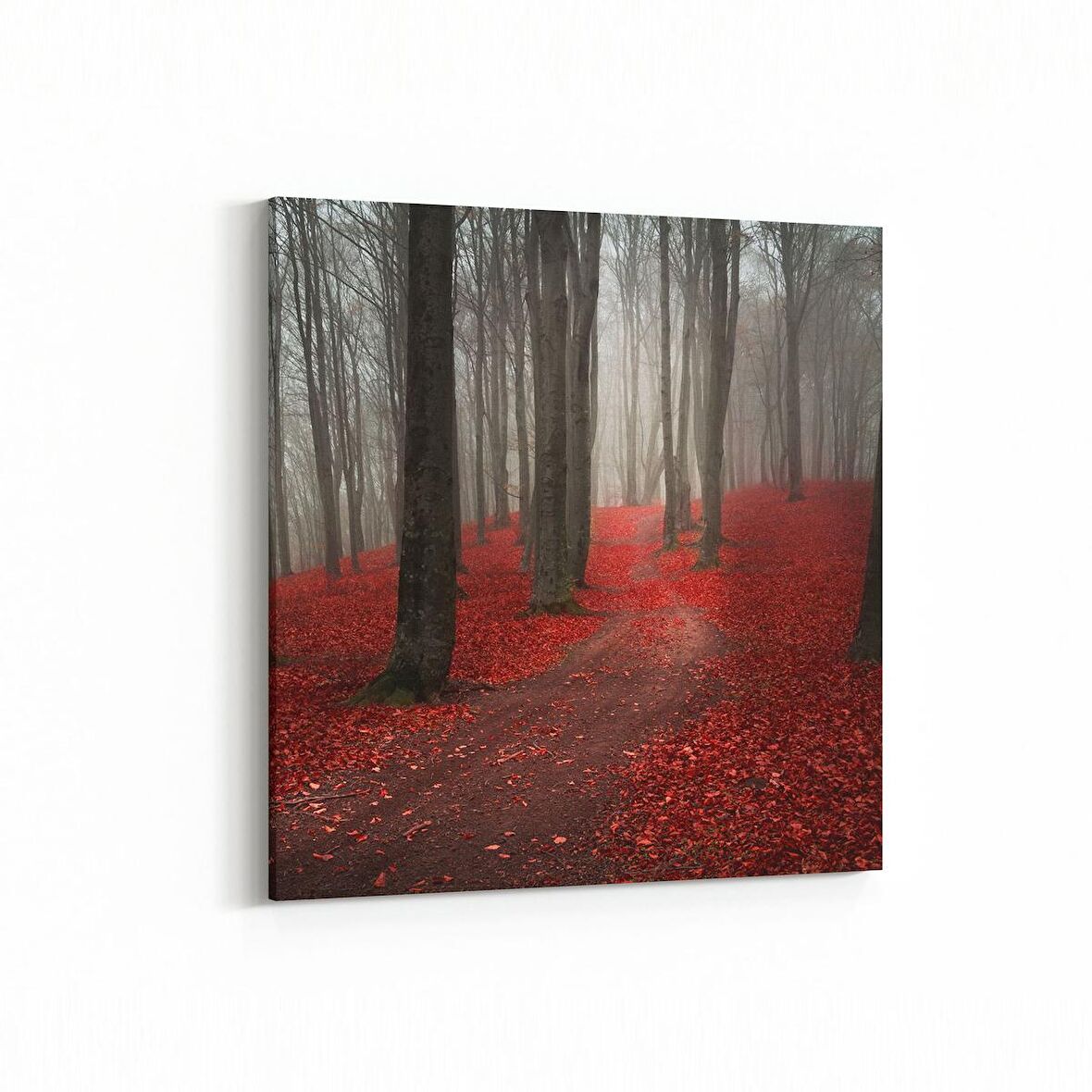 Olla 13355K Doğa / Manzara Görseli Kare Kanvas Tablo (Ölçü: 25X25)