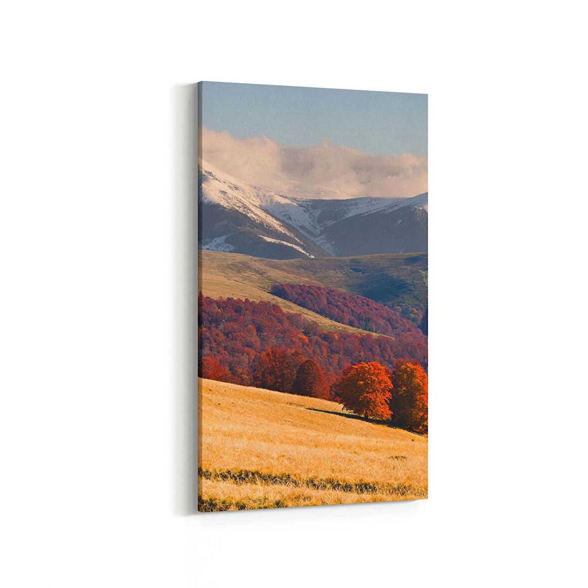 Olla 13265DD Doğa / Manzara Görseli Dikey Dar Kanvas Tablo (Ölçü: 40X80)