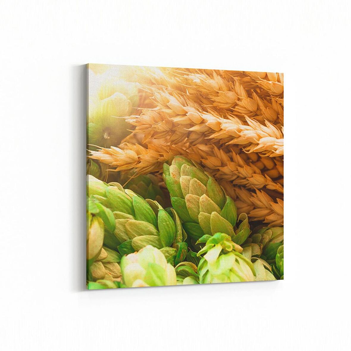 Olla 15312K Gıda Görseli Kare Kanvas Tablo (Ölçü: 25X25)