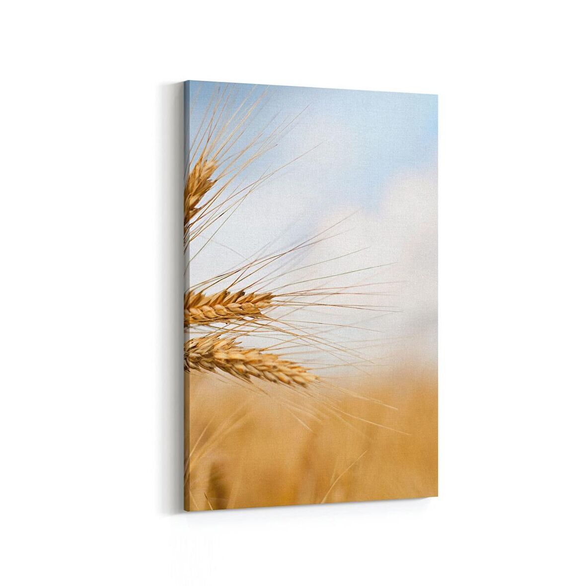 Olla 15241D Gıda Görseli Dikey Kanvas Tablo (Ölçü: 20X30)