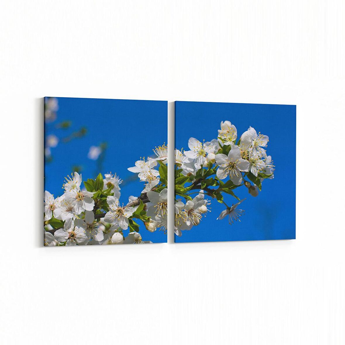 Olla 10644K2Y Ağaç Görseli Kare 2'li Yatay Kanvas Tablo (Ölçü: 145X70)