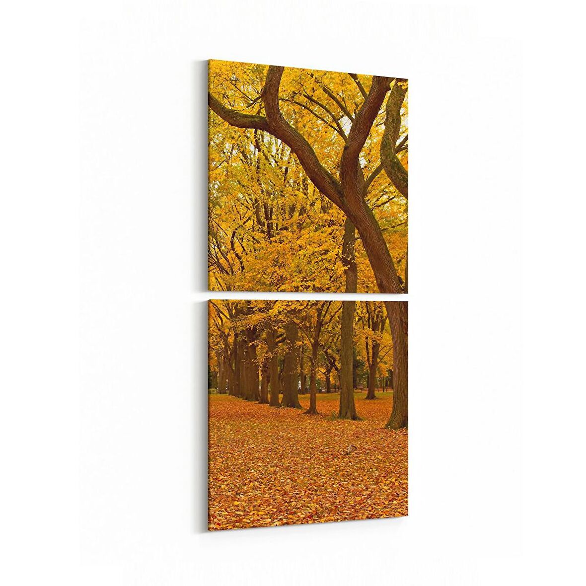 Olla 14541K2D Doğa / Manzara Görseli Kare 2'li Dikey Kanvas Tablo (Ölçü: 30X65)