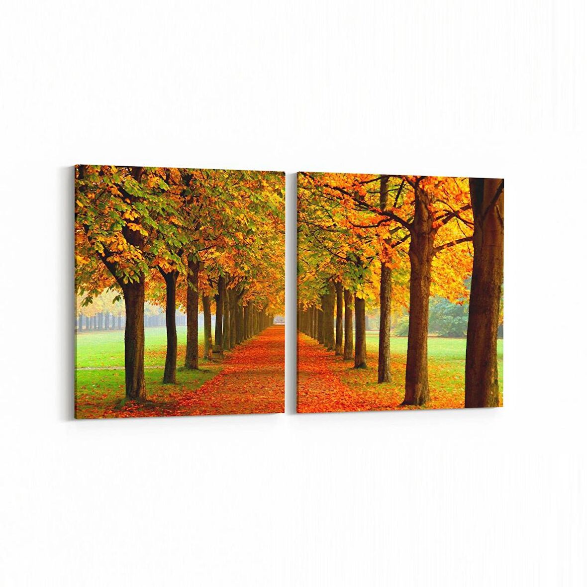 Olla 13230K2Y Doğa / Manzara Görseli Kare 2'li Yatay Kanvas Tablo (Ölçü: 145X70)