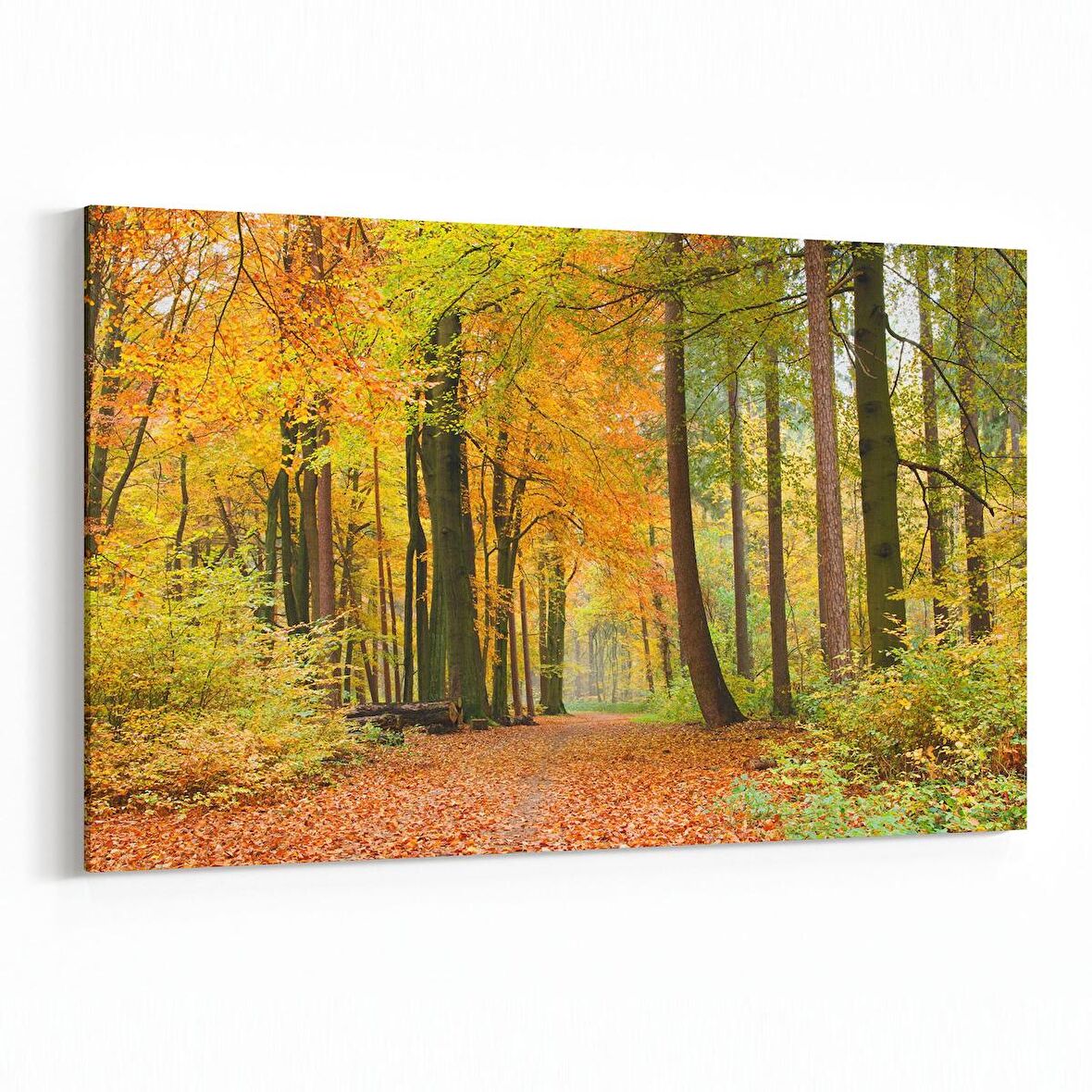 Olla 14341Y Doğa / Manzara Görseli Yatay Kanvas Tablo (Ölçü: 150X100)