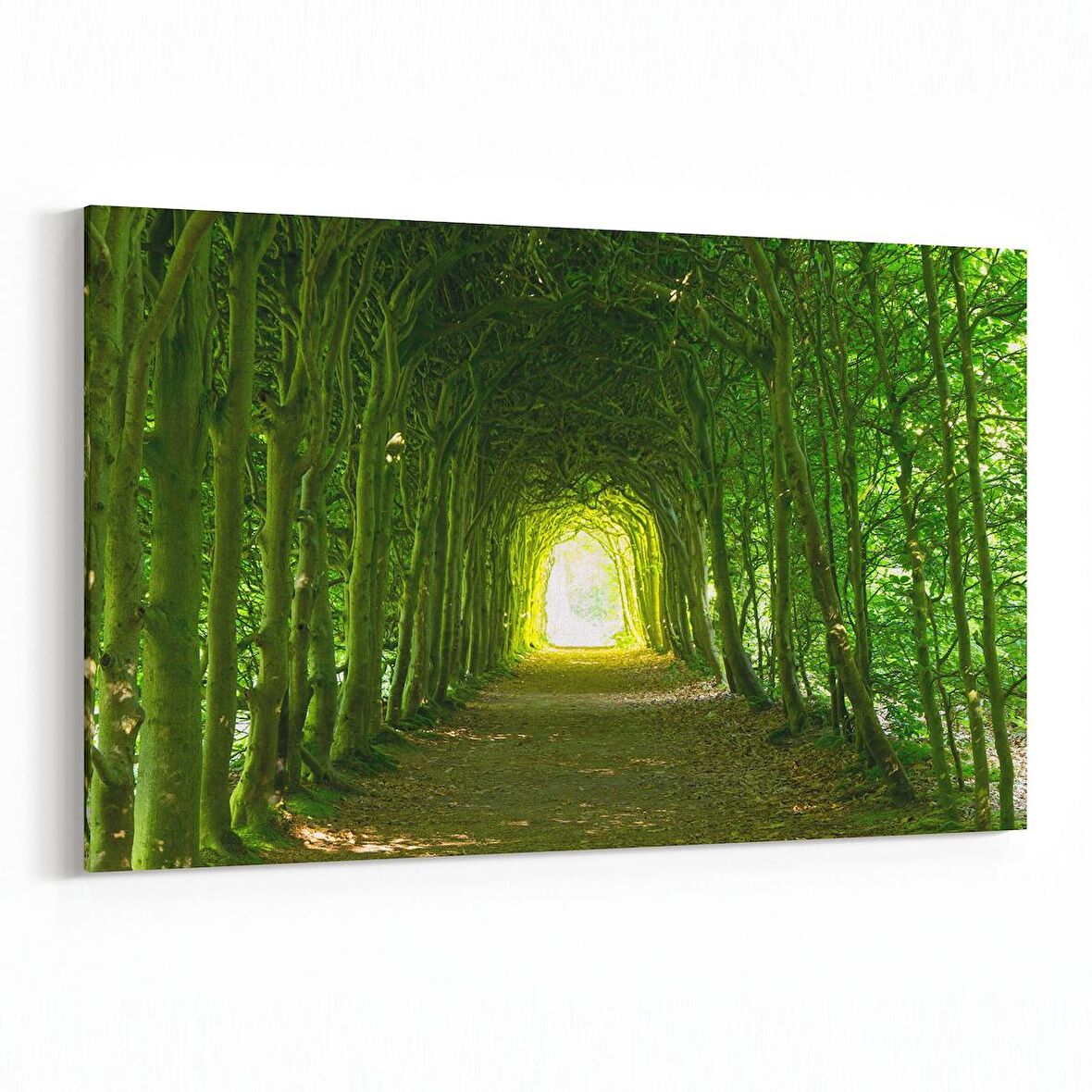 Olla 13688Y Doğa / Manzara Görseli Yatay Kanvas Tablo (Ölçü: 120X80)