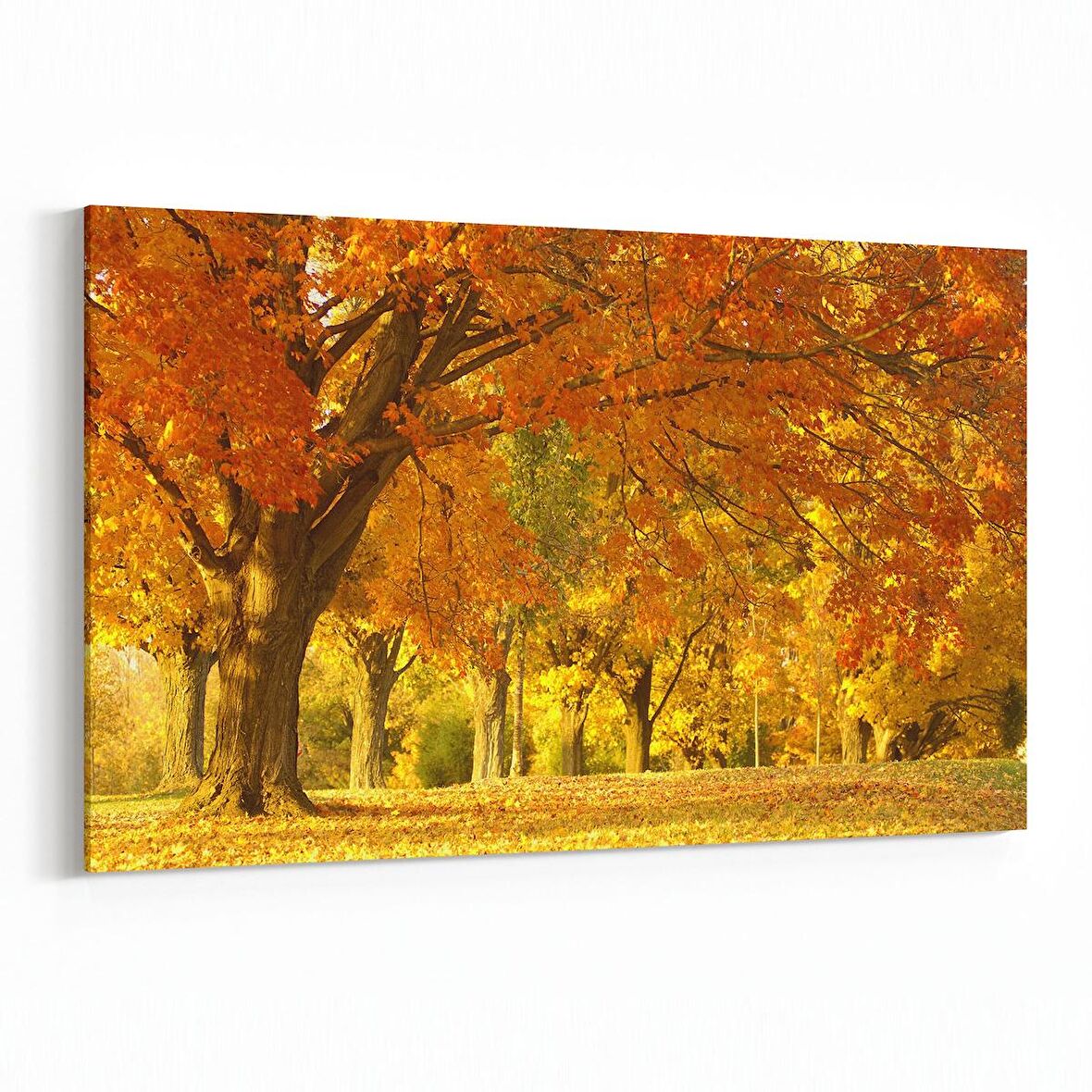 Olla 13714Y Doğa / Manzara Görseli Yatay Kanvas Tablo (Ölçü: 120X80)