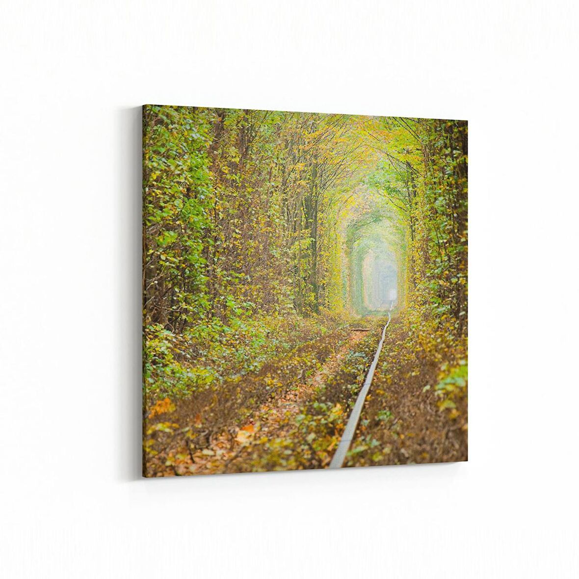 Olla 13405K Doğa / Manzara Görseli Kare Kanvas Tablo (Ölçü: 25X25)