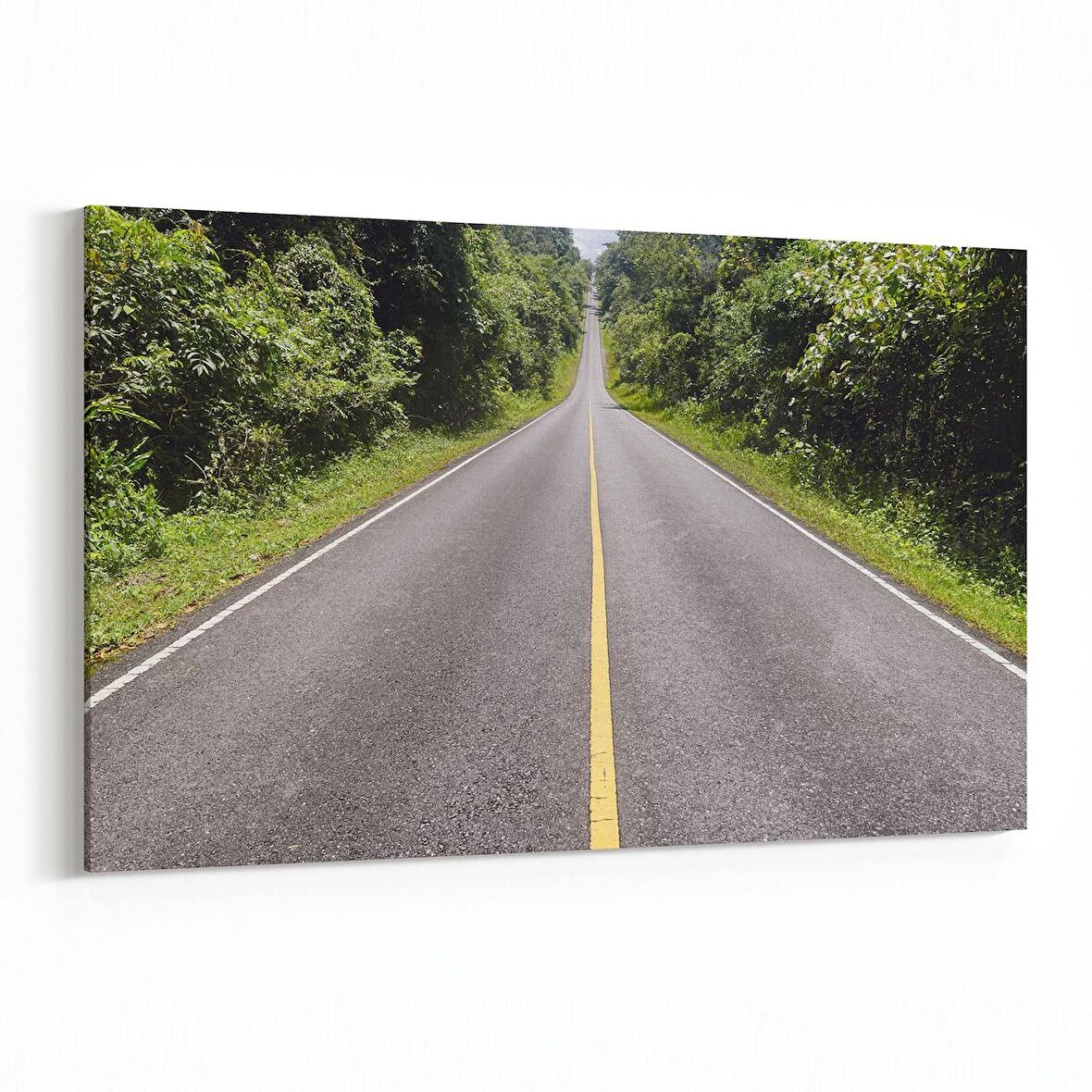 Olla 13896Y Doğa / Manzara Görseli Yatay Kanvas Tablo (Ölçü: 30X20)