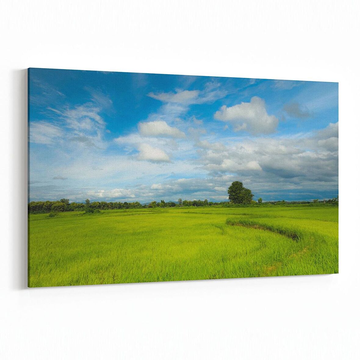 Olla 13529Y Doğa / Manzara Görseli Yatay Kanvas Tablo (Ölçü: 90X60)