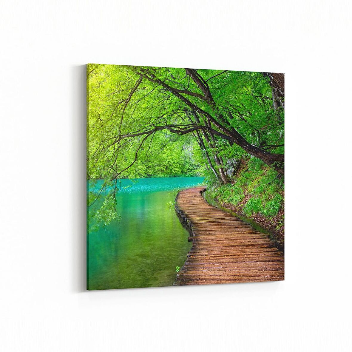 Olla 13696K Doğa / Manzara Görseli Kare Kanvas Tablo (Ölçü: 60X60)