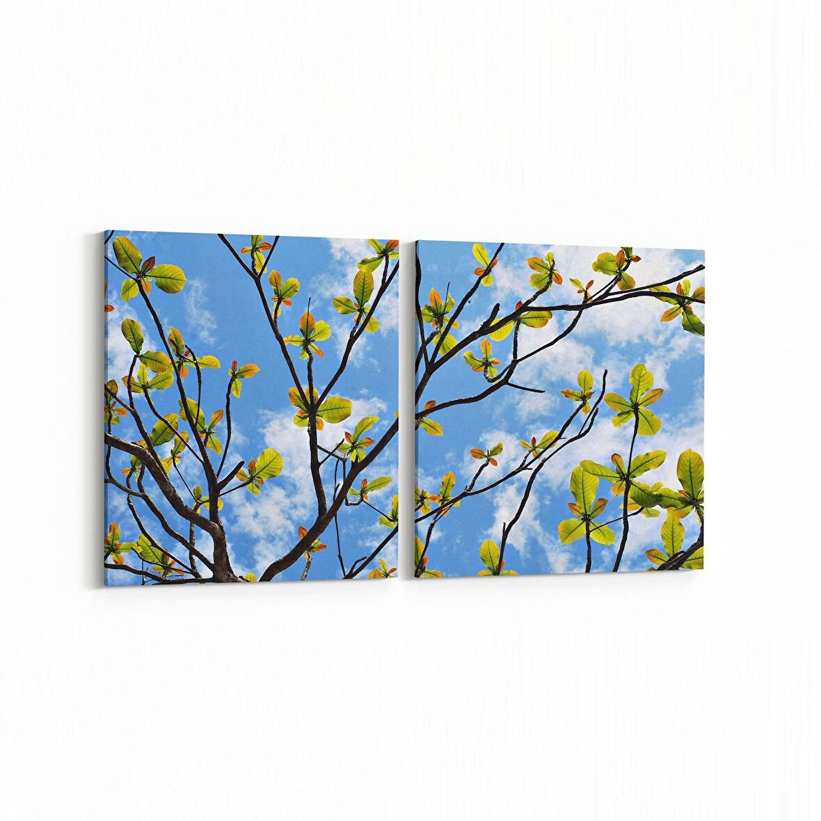 Olla 10753K2Y Ağaç Görseli Kare 2'li Yatay Kanvas Tablo (Ölçü: 125X60)