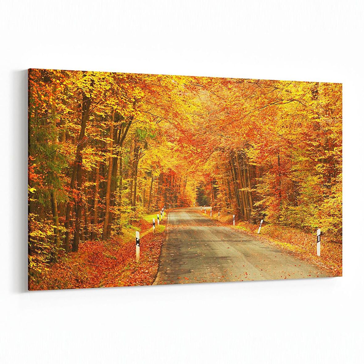 Olla 13597Y Doğa / Manzara Görseli Yatay Kanvas Tablo (Ölçü: 30X20)