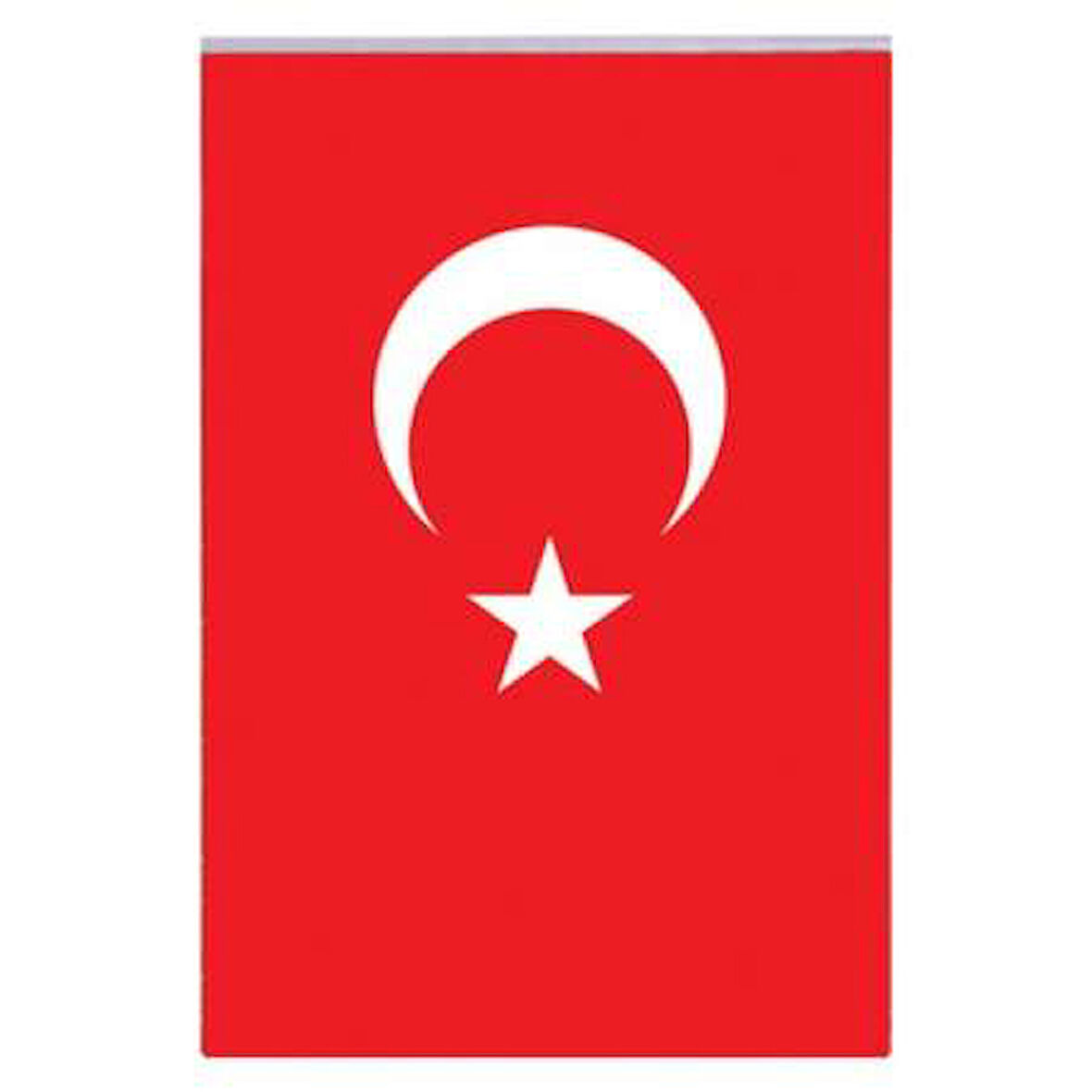 Vatan 40x60 Polyester Bayrak