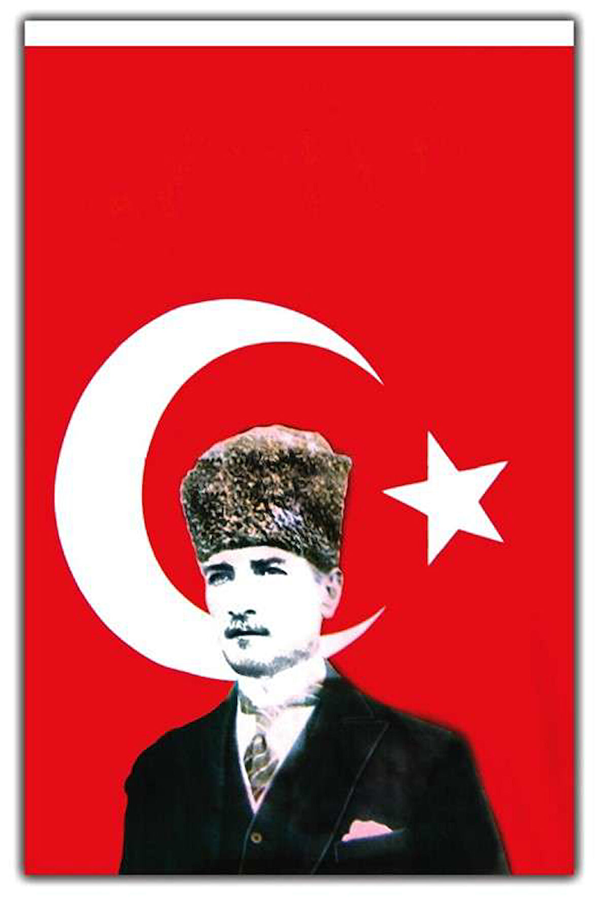 Vatan 70x105 Atatürk'lü Bayrak
