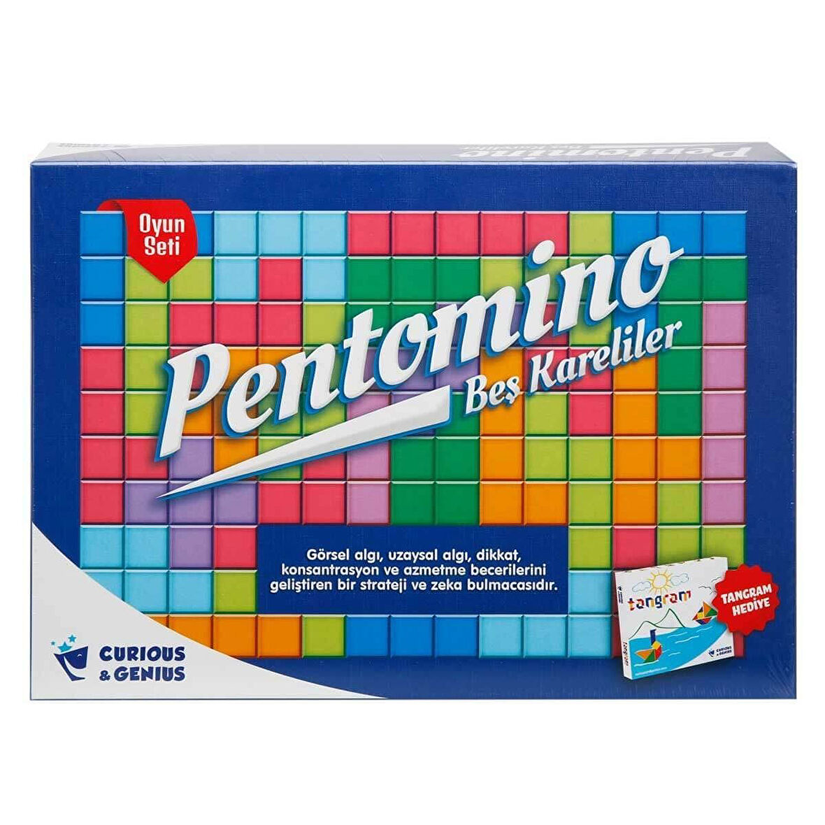 Kız Erkek Çocuk Oyuncak ZMK-2620 Pentomino Oyunu Kız Erkek Çocuk Oyuncak Eğitici Eğlenceli Oyuncak