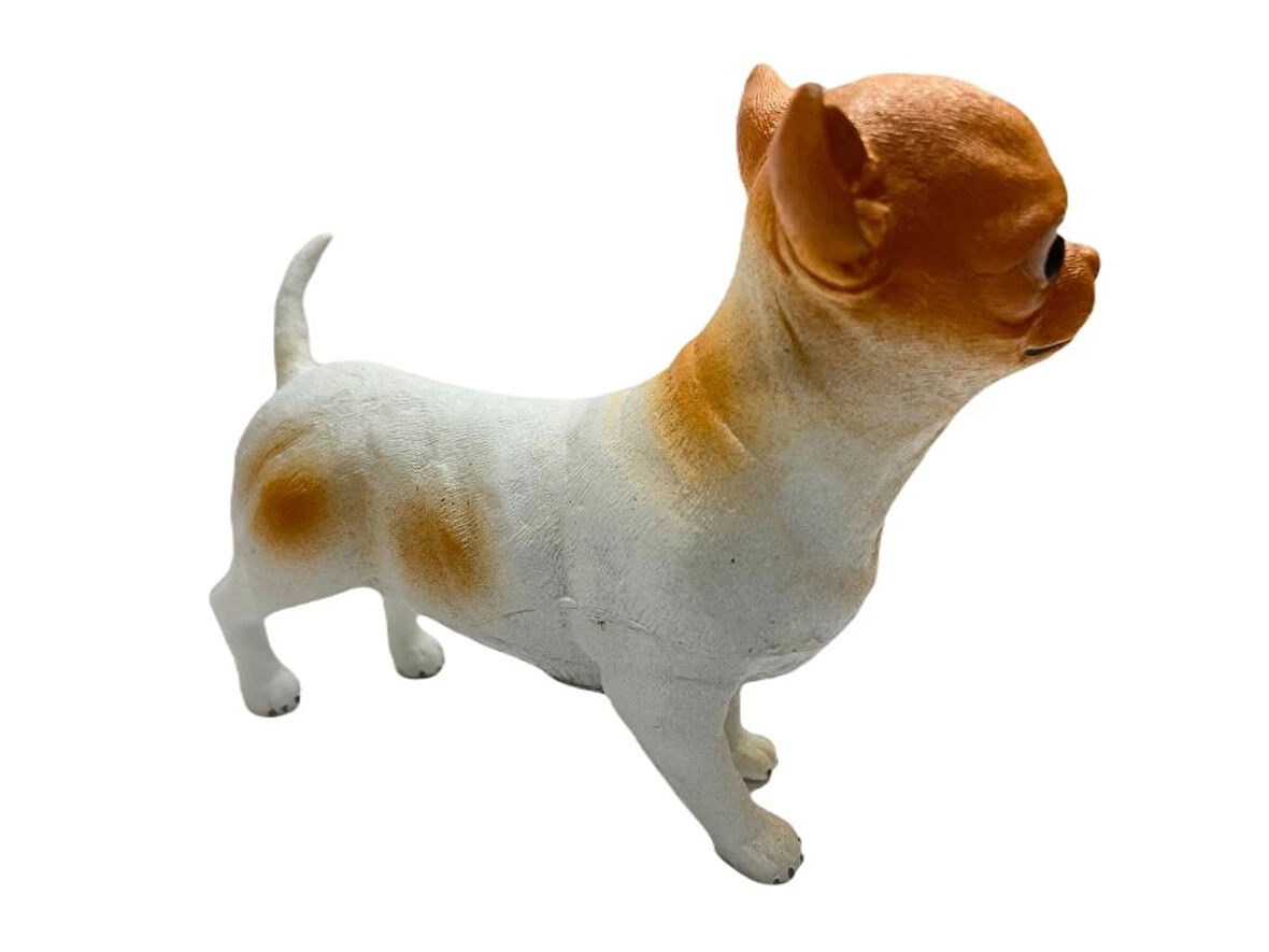 Köpekler - Chihuahua / Şivava Cinsi Köpek