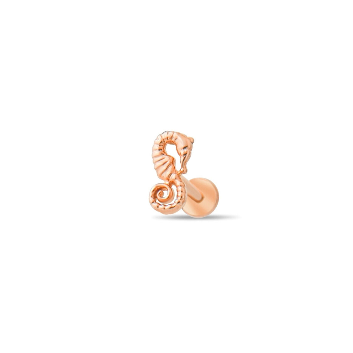 Altın Deniz Atı Tragus Piercing