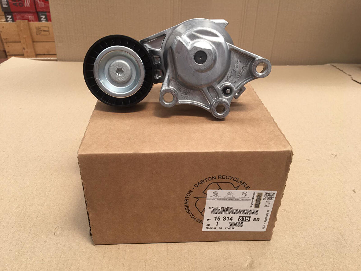 ALTERNATOR GERGİ RULMANI 308 TEPE DS4 DS5 DV6C 1631481580