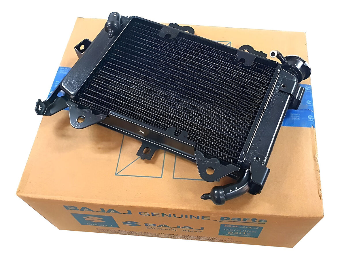 Bajaj Pulsar Ns 200 Uyumlu Orjinal Radyatör 2014-2024 Uyumlu ( Kapaksız )_Supermoto