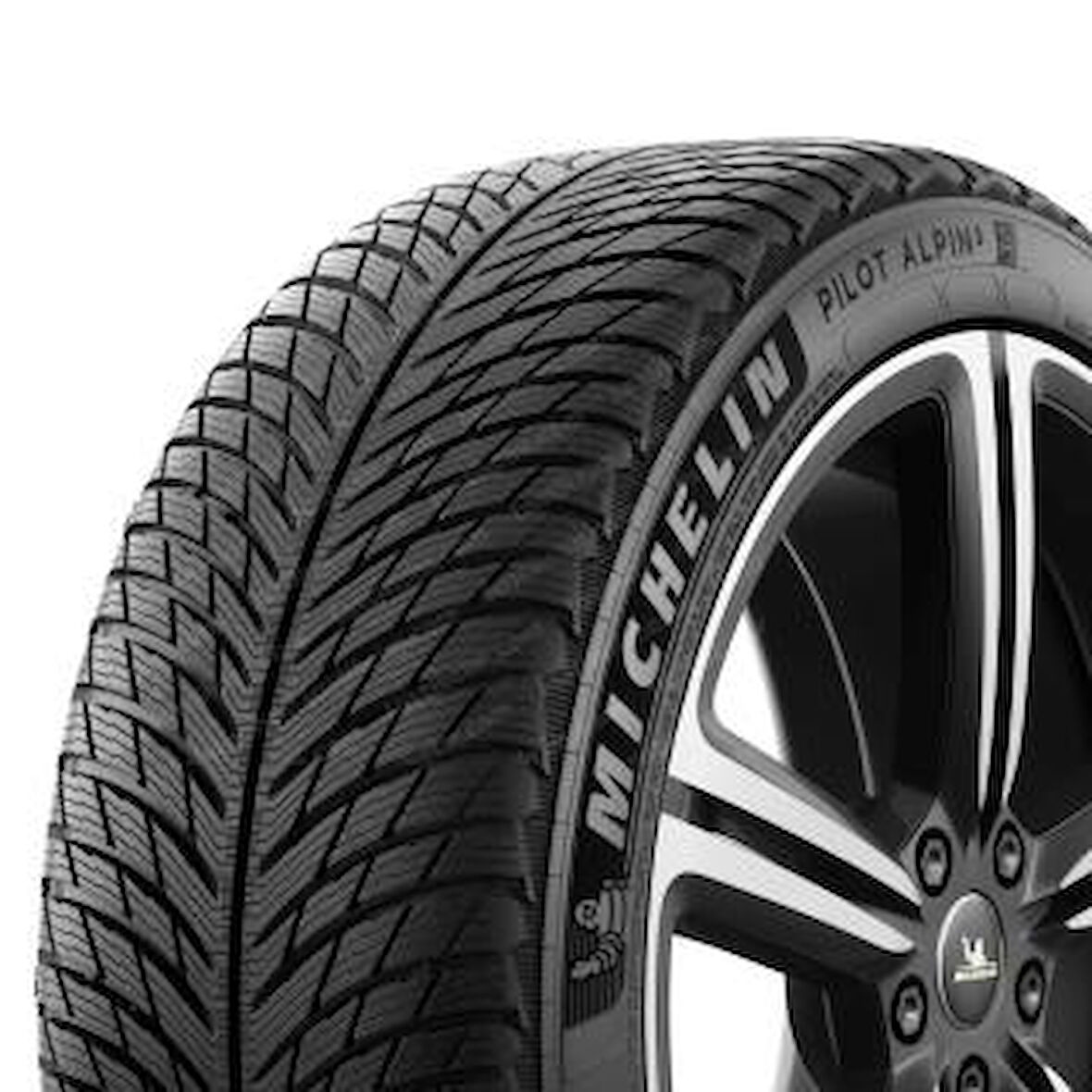 Mıchelın 285/30R22 101 W XL PILOT ALPIN 5 RG