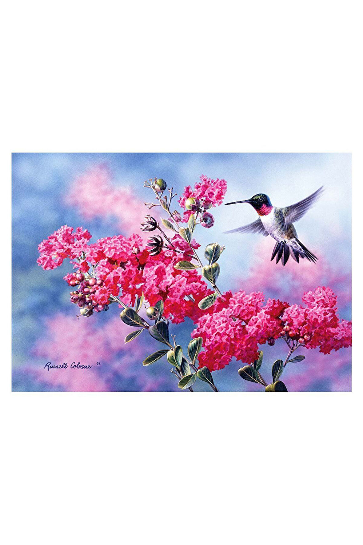 Kız Çocuk Oyuncak KS Merops 1500 Parça Puzzle Erkek Çocuk Oyuncak Eğitici Oyuncaklar