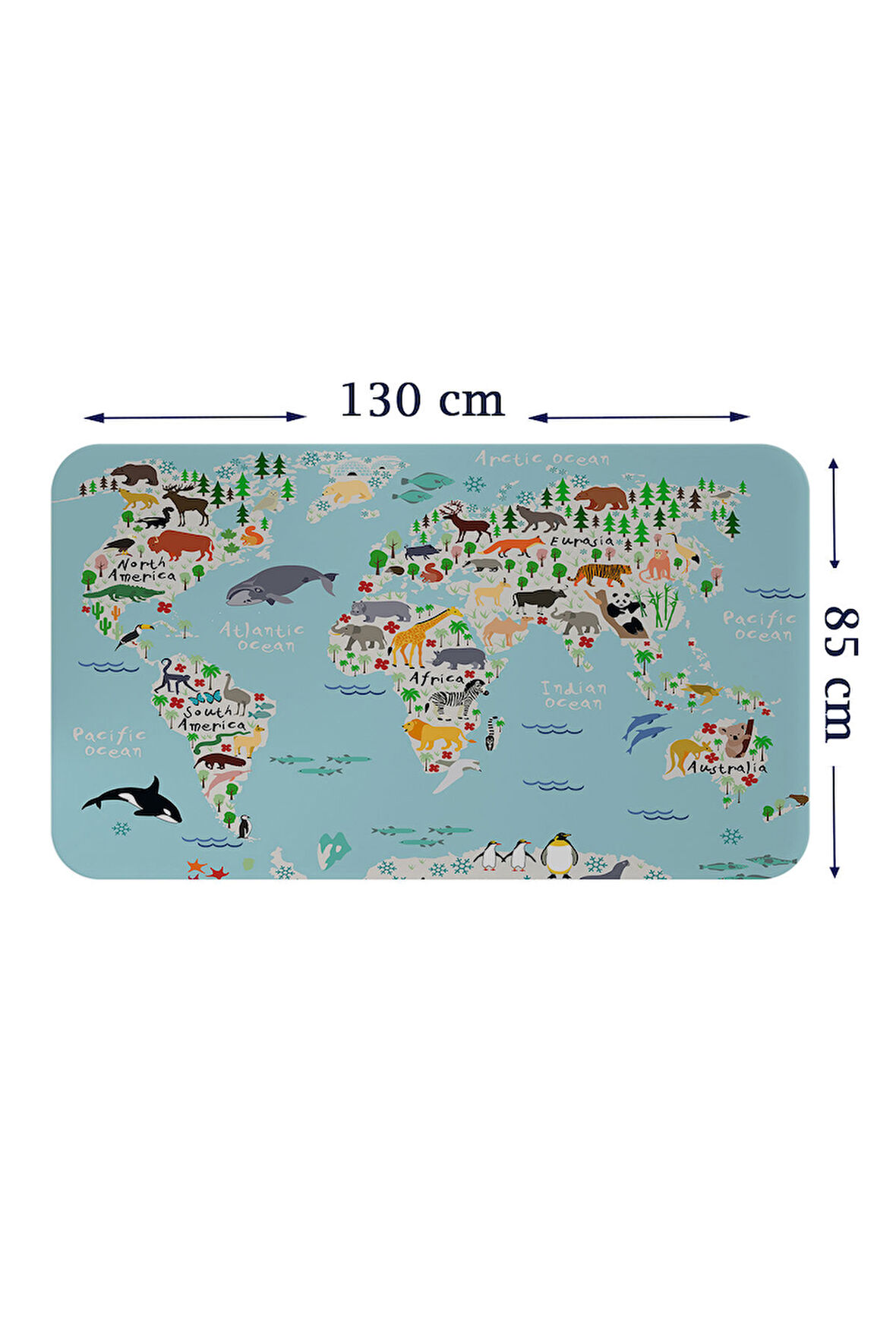 Eğitici Dünya Haritası Dünya Atlası Çocuk ve Bebek Odası Duvar Sticker-85x130-3771