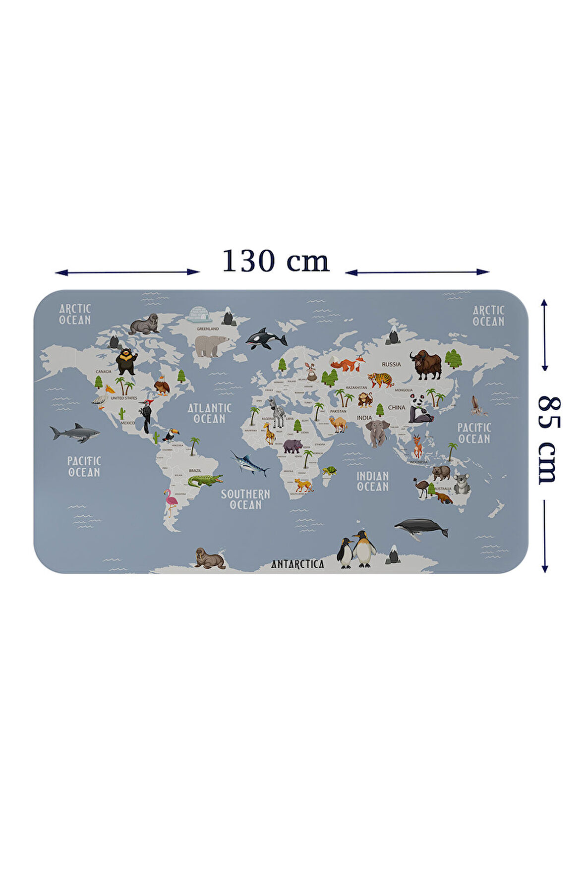 Eğitici Dünya Haritası Dünya Atlası Çocuk ve Bebek Odası Duvar Sticker-85x130-3789