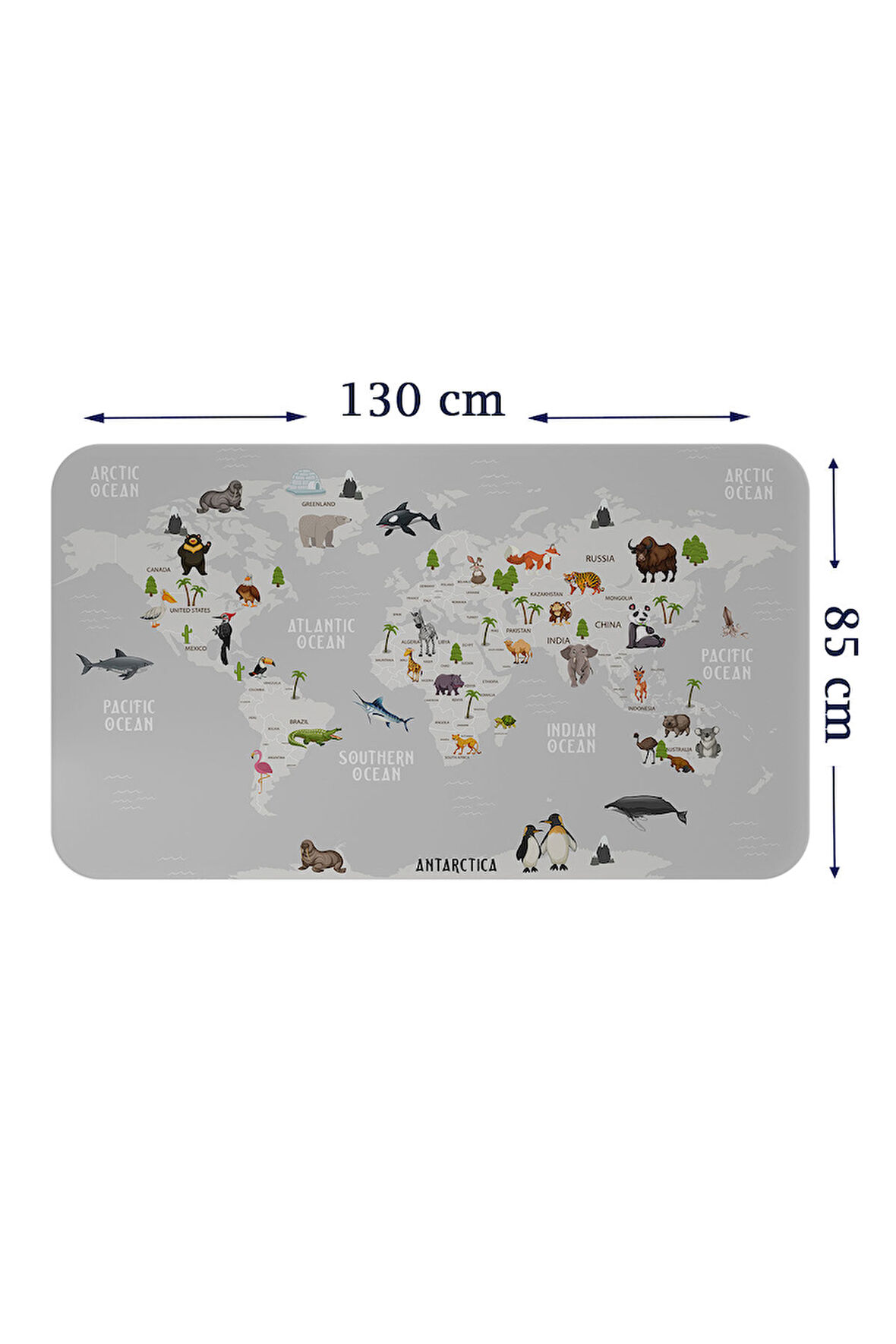 Eğitici Dünya Haritası Dünya Atlası Çocuk ve Bebek Odası Duvar Sticker-85x130-3790