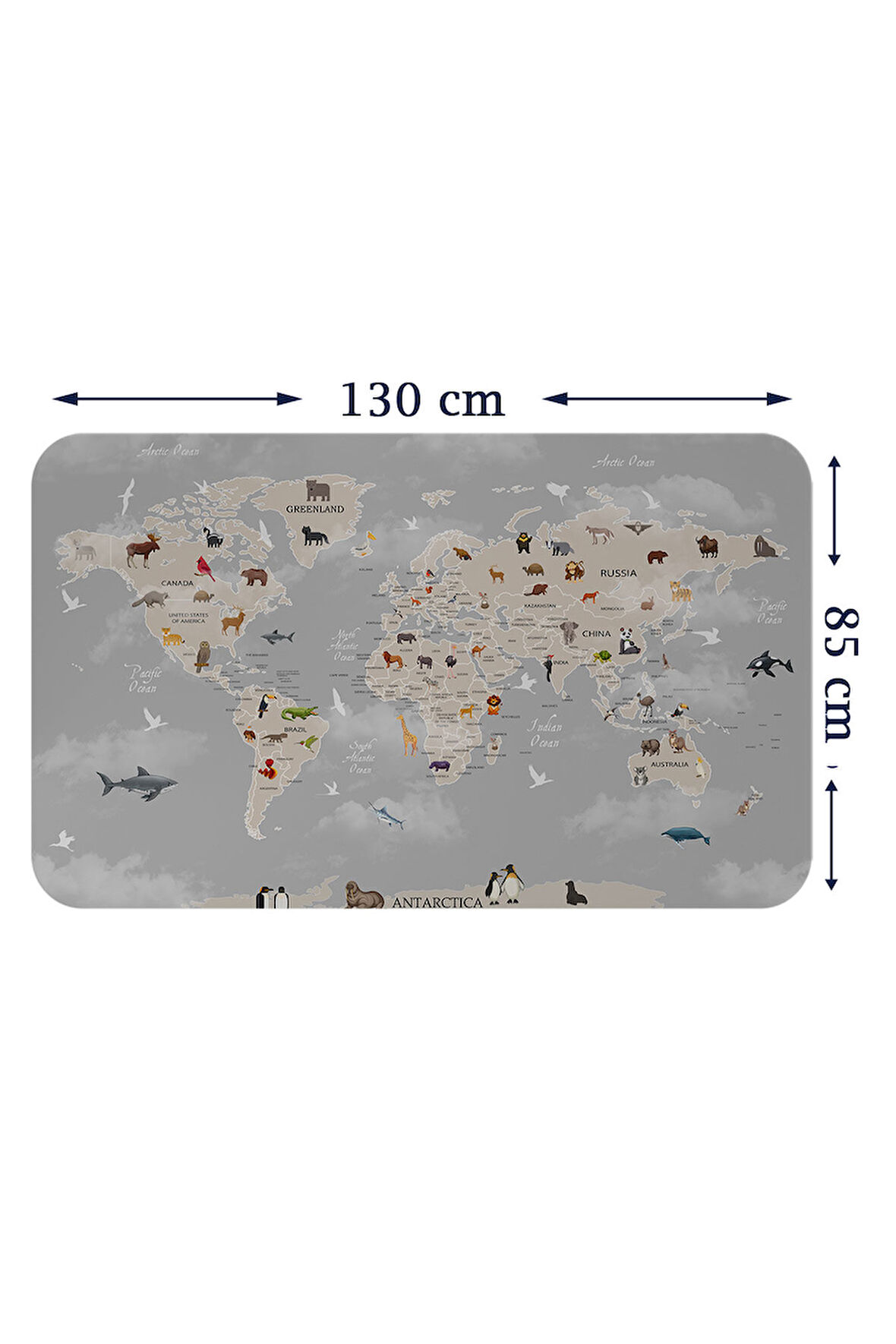 Eğitici Dünya Haritası Dünya Atlası Çocuk ve Bebek Odası Duvar Sticker-85x130-3793