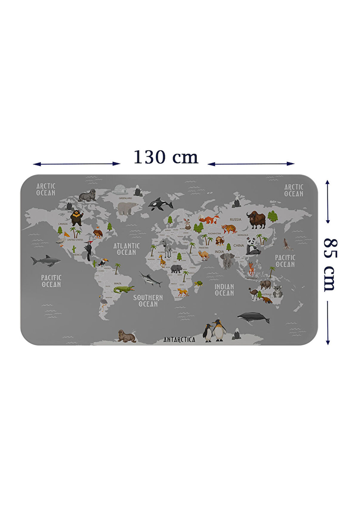 Eğitici Dünya Haritası Dünya Atlası Çocuk ve Bebek Odası Duvar Sticker-85x130-3794