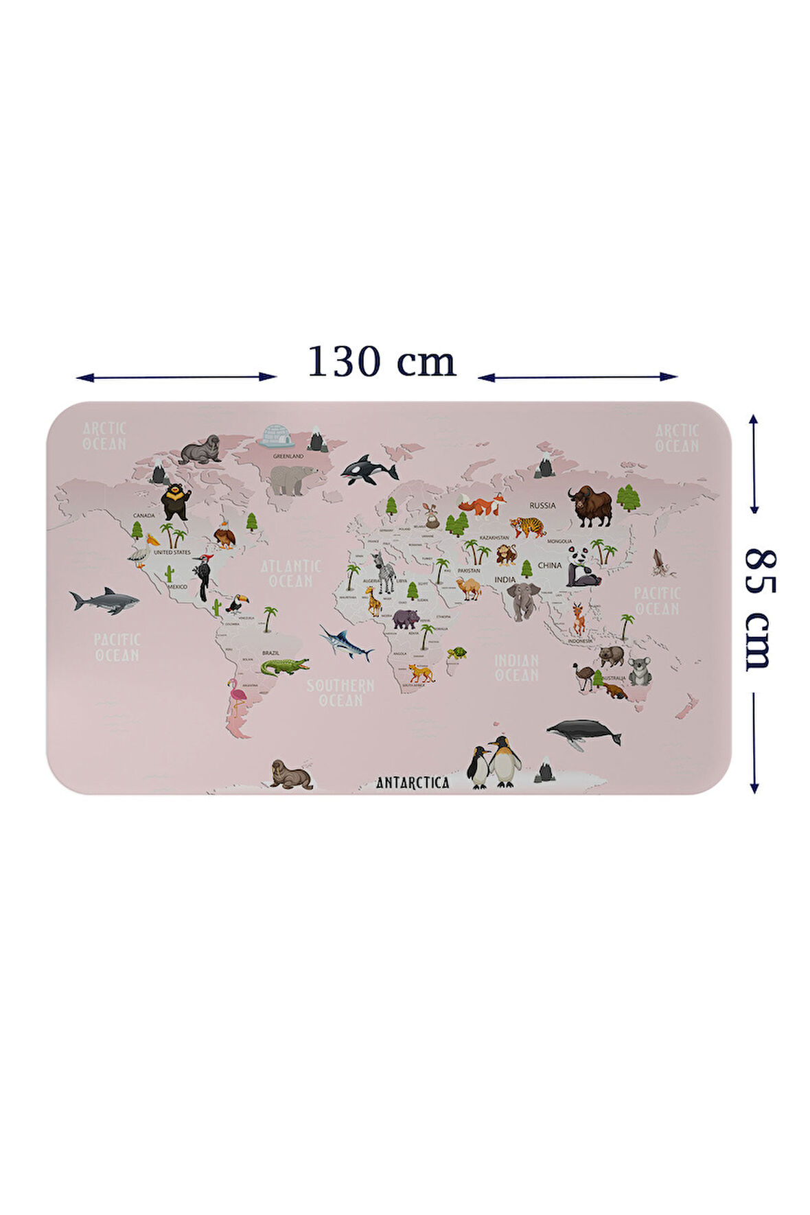 Eğitici Dünya Haritası Dünya Atlası Çocuk ve Bebek Odası Duvar Sticker-85x130-3795