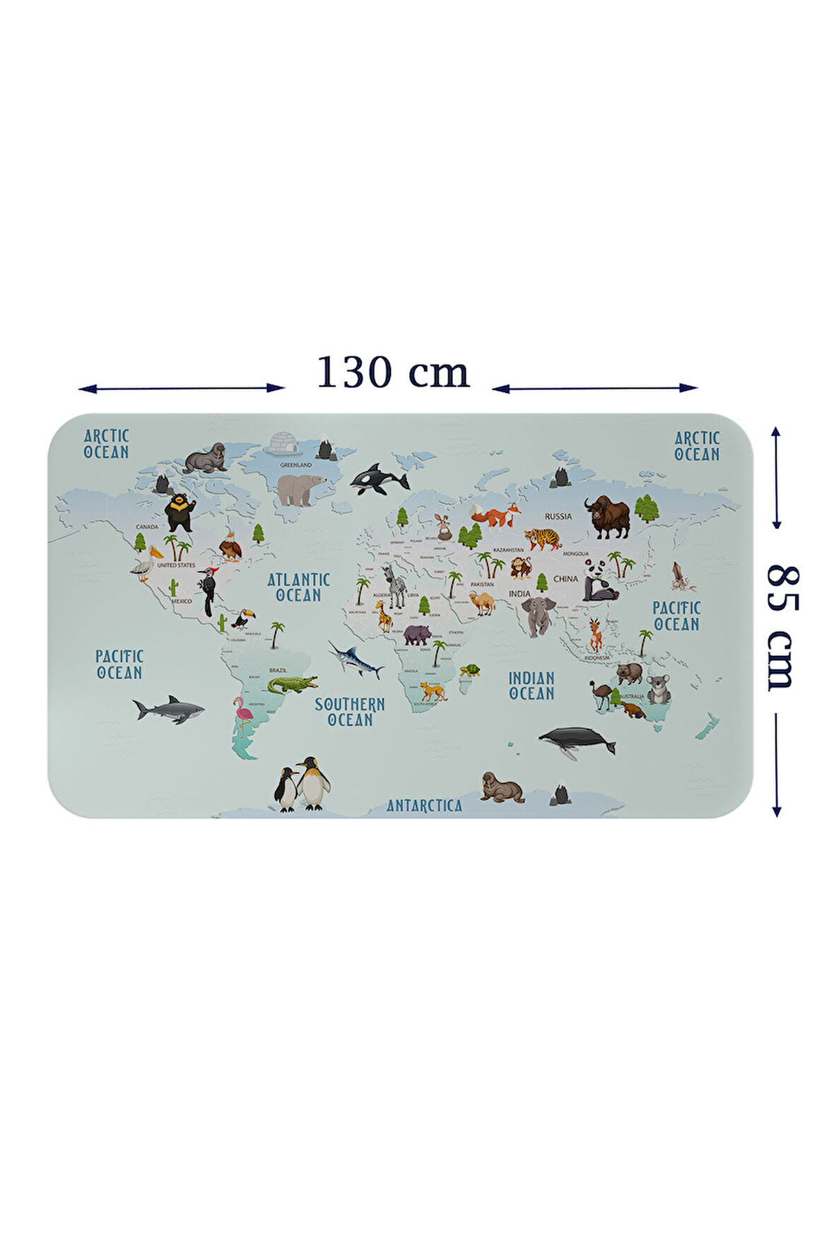 Eğitici Dünya Haritası Dünya Atlası Çocuk ve Bebek Odası Duvar Sticker-85x130-3796