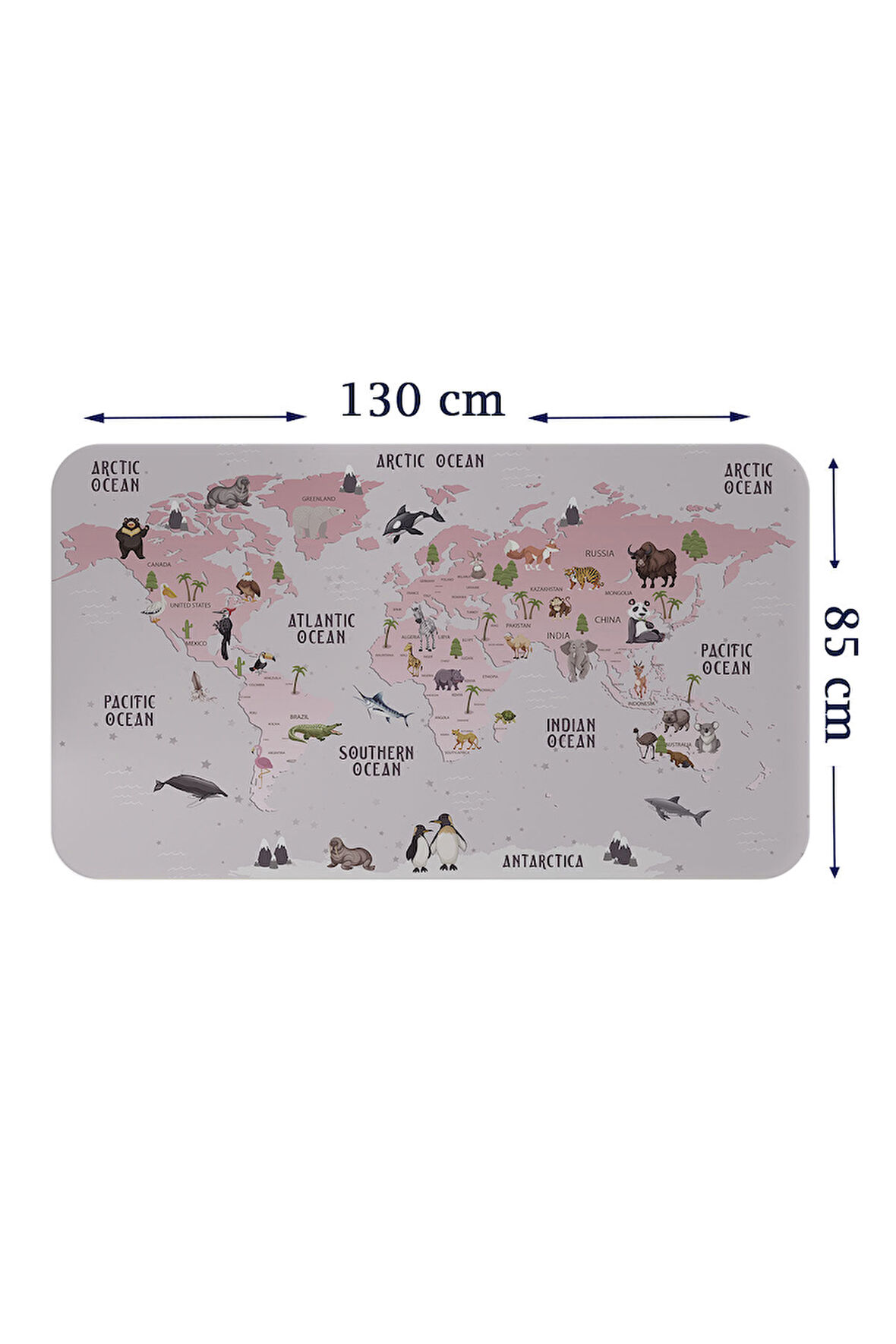 Eğitici Dünya Haritası Dünya Atlası Çocuk ve Bebek Odası Duvar Sticker-85x130-3798