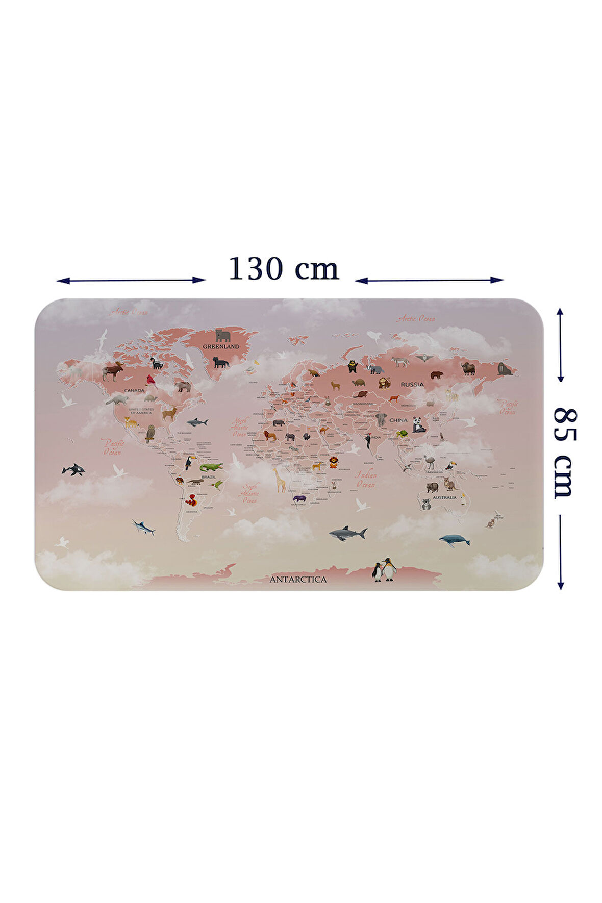 Eğitici Dünya Haritası Dünya Atlası Çocuk ve Bebek Odası Duvar Sticker-85x130-3799