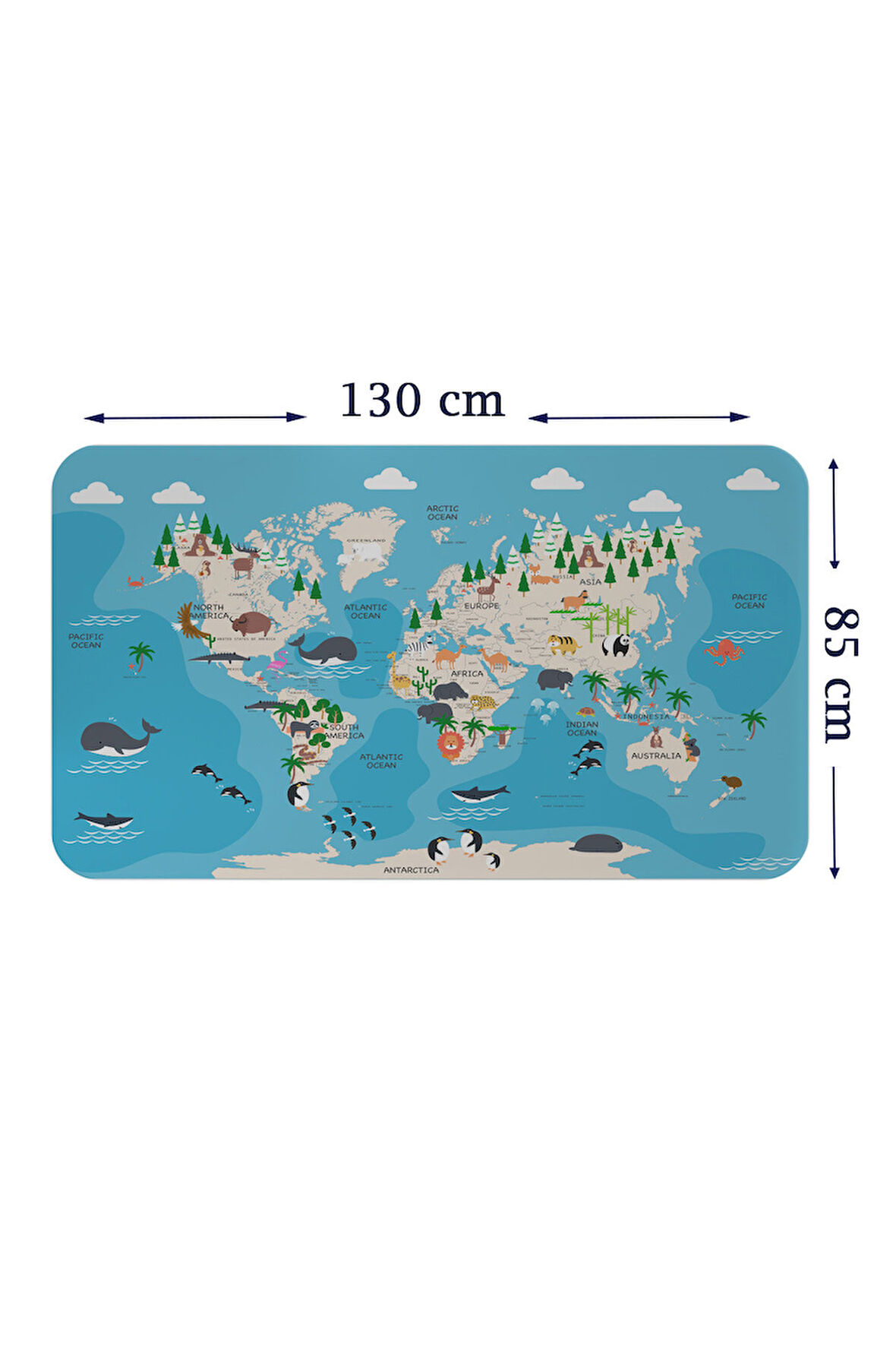 Eğitici Dünya Haritası Dünya Atlası Çocuk ve Bebek Odası Duvar Sticker-85x130-3802