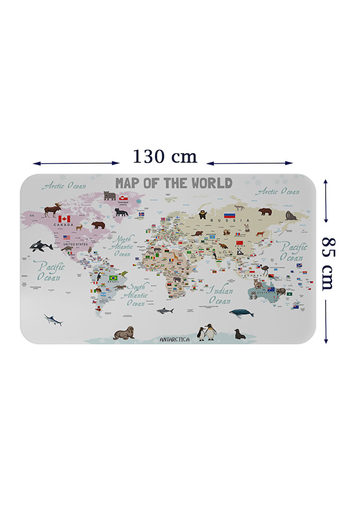 Eğitici ve Bayraklı Dünya Haritası Dünya Atlası Çocuk ve Bebek Odası Duvar Sticker-85x130-3813