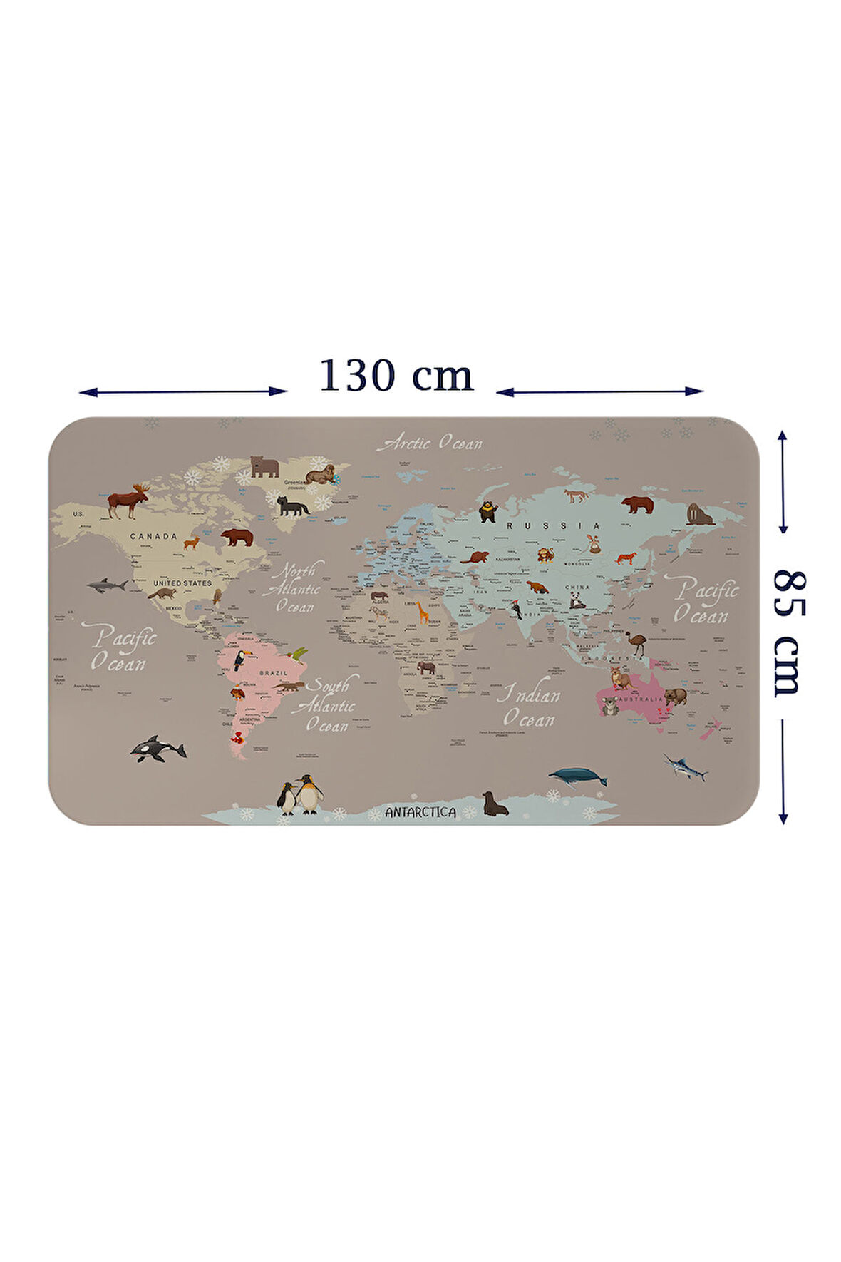 Eğitici Dünya Haritası Dünya Atlası Çocuk ve Bebek Odası Duvar Sticker-85x130-3817