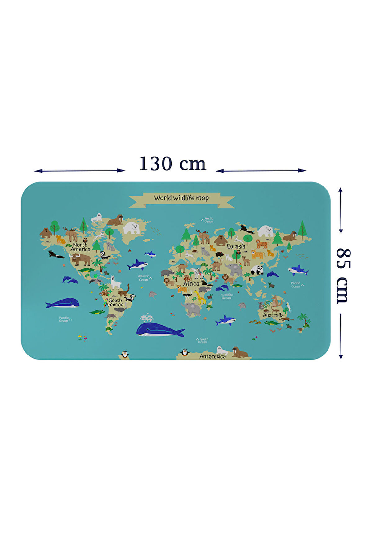 Eğitici Dünya Haritası Dünya Atlası Çocuk ve Bebek Odası Duvar Sticker-85x130-3829